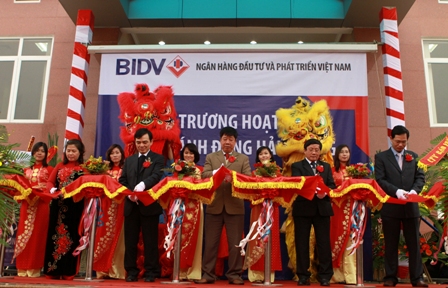 Lễ cắt băng khai trương Chi nhánh