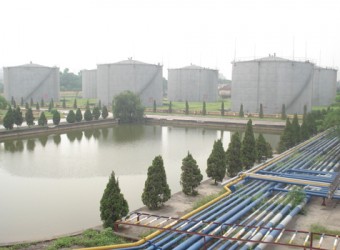 Môi trường Tổng kho Đức Giang xanh- sạch-đẹp