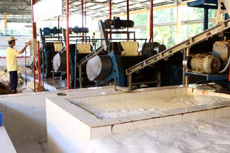 Chế biến mủ cao su tại Nhà máy của Công ty TNHH một thành viên Cao su Phú Riềng. Ảnh: Hà Thái - TTXVN