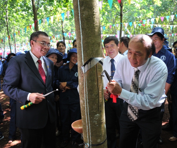 Cao su bước vào mùa cạo mới 2012