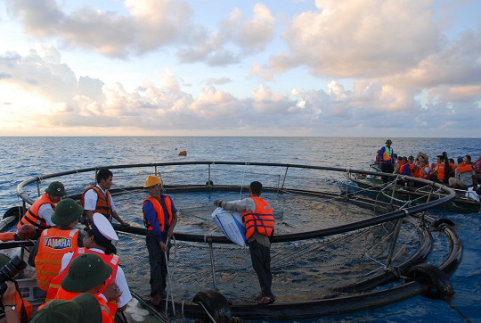 Cán bộ, chiến sỹ nuôi Cá lồng trên Quần đảo Trường Sa