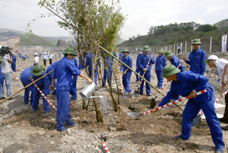 Trồng cây trên bãi thải Công ty CP Than Núi Béo.