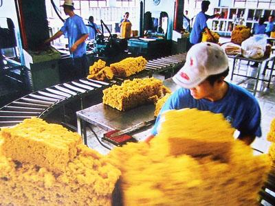 Năm 2012 dự kiến cao su xuất khẩu sẽ đạt gần 2 tỷ USD