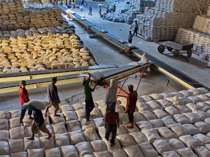 Bốc xếp gạo xuất khẩu  (Ảnh: Duy Khương/TTXVN)