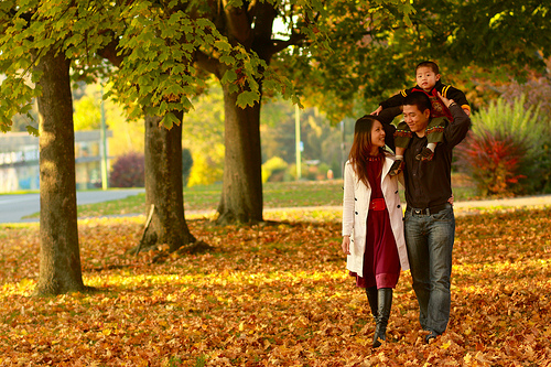 Tiếp tục nghiên cứu, đề xuất, xây dựng các văn bản quy phạm pháp luật về gia đình và công tác gia đình.