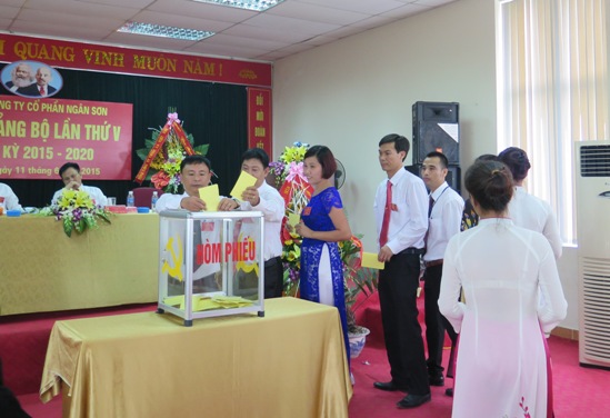 Bỏ phiếu bầu Ban chấp hành khóa mới, nhiệm kỳ 2015 - 2020