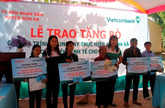 Niềm vui của bà con xã vùng cao huyện Sơn Hà đến nhận bò