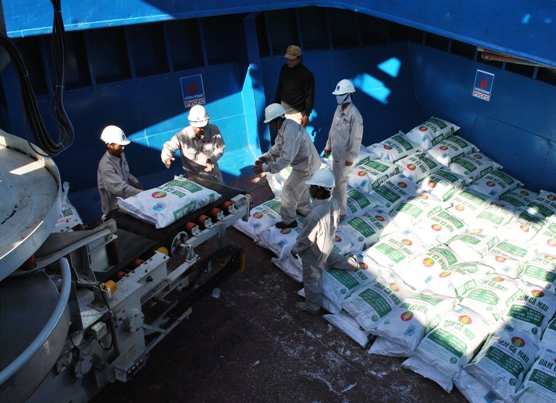 Dây chuyền sản xuất Đạm Cà Mau