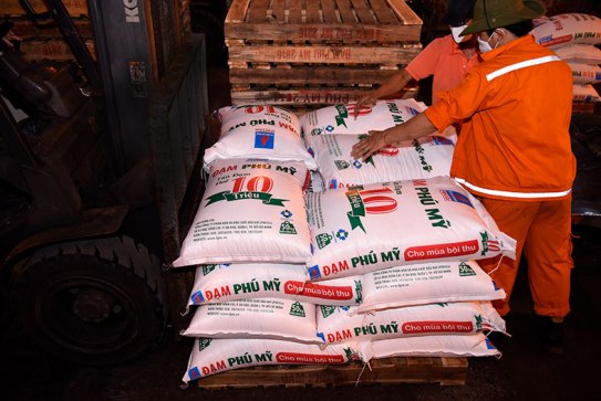 Tấn Đạm Phú Mỹ thứ 10 triệu được đóng bao vào sáng ngày 15/7/2017