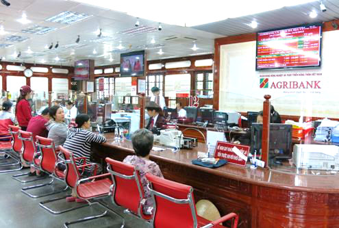 Agribank là ngân hàng tiên phong trong việc giảm lãi suất.