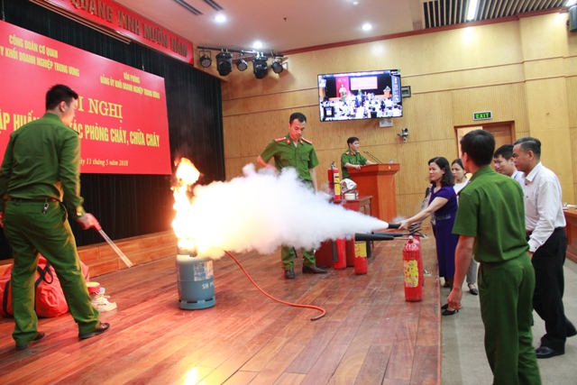 Thực hành kỹ năng sử dụng bình chữa cháy.