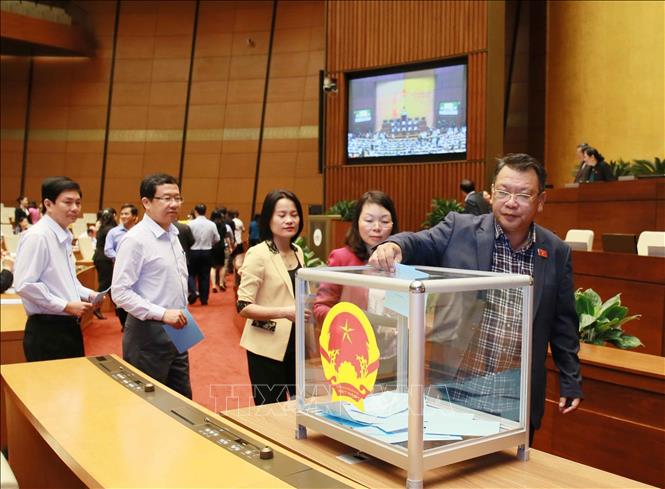 Đại biểu Quốc hội bỏ phiếu phê chuẩn việc bổ nhiệm chức vụ Bộ trưởng Bộ Thông tin và Truyền thông.