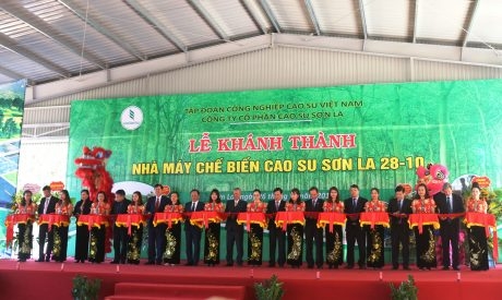 Các đại biểu cắt băng khánh thành Nhà máy chế biến cao su Sơn La 28/10