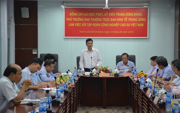 Đồng chí Cao Đức Phát – Ủy viên TW Đảng, Phó trưởng Ban Thường trực Ban Kinh tế TW phát biểu tại buổi làm việc.