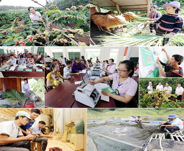 Trong suốt hành trình gần 20 năm qua, nguồn vốn ưu đãi của Chính phủ được NHCSXH thực hiện đã giúp hàng triệu hộ nghèo trong cả nước có vốn phát triển kinh tế.