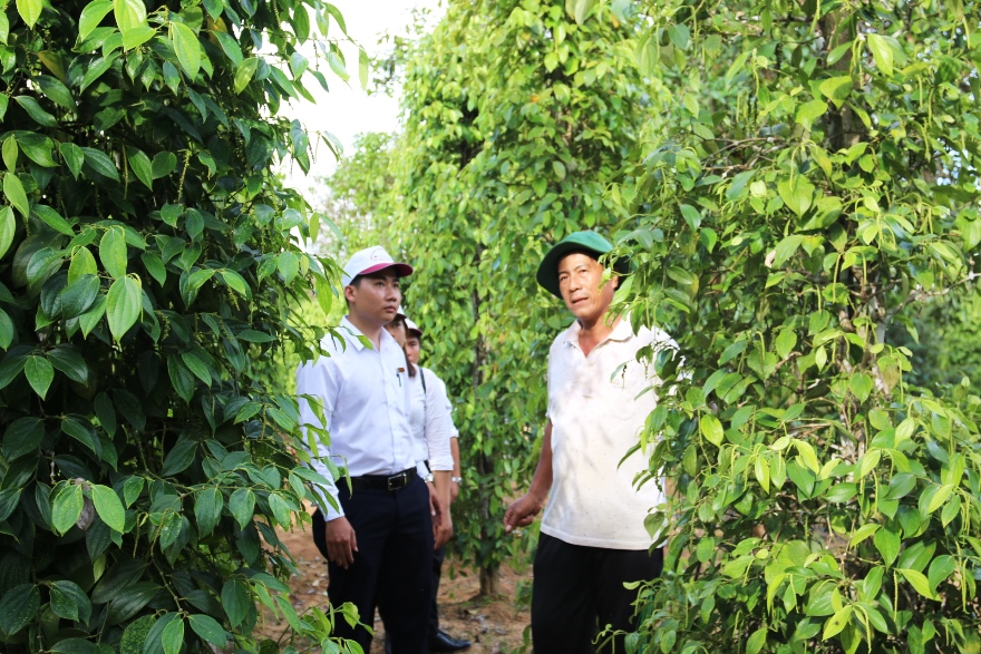 Agribank tiếp tục hỗ trợ và đồng hành cùng doanh nghiệp, người dân vượt qua khó khăn, góp phần phục hồi sản xuất kinh doanh sau dịch.