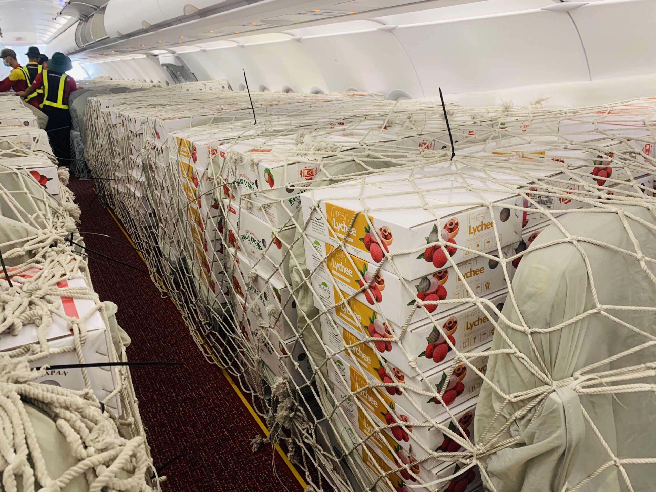 Bưu điện Việt Nam dành trọn chuyến bay chuyển vải thiều xuất khẩu đến Nhật Bản.