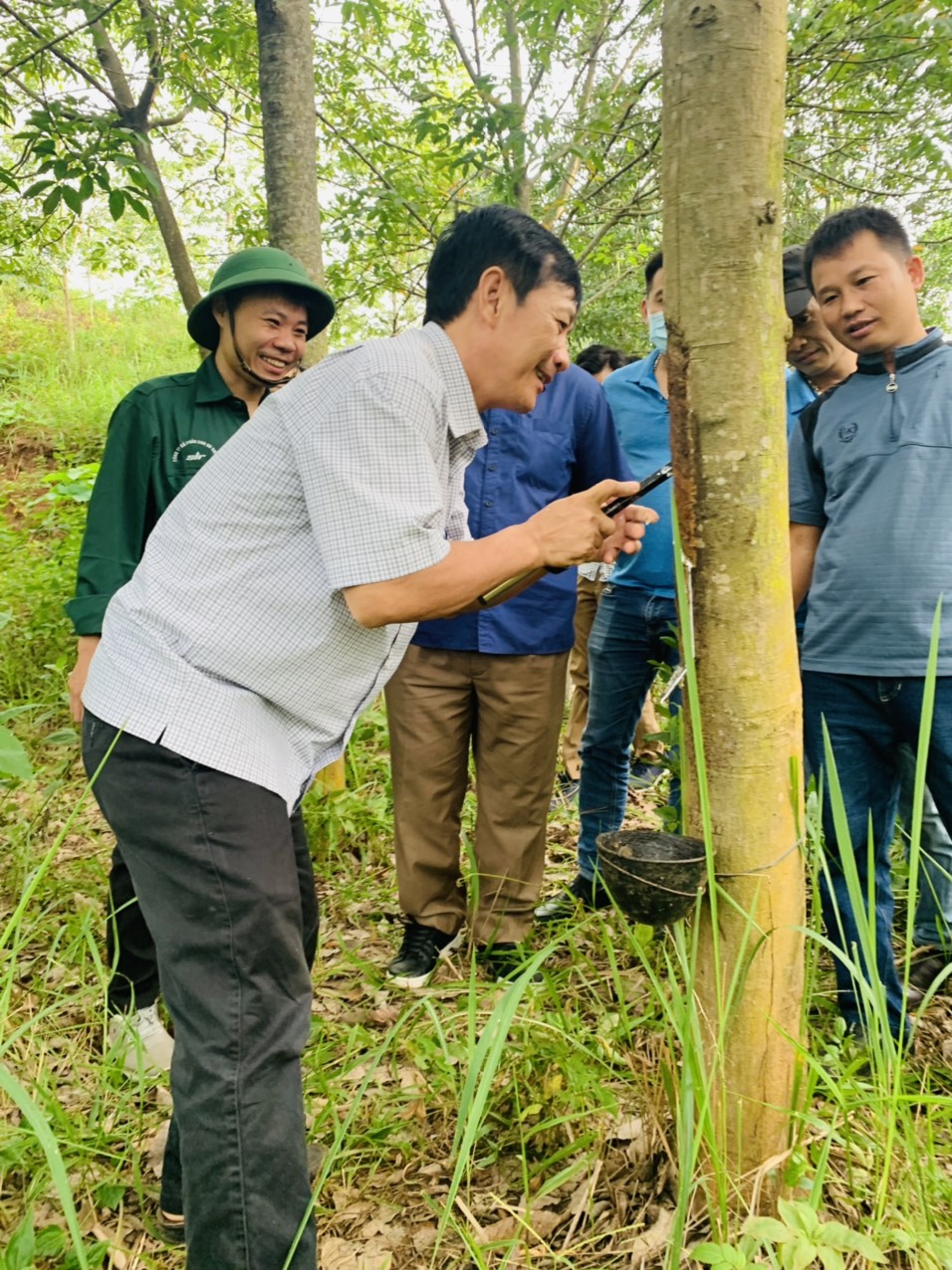 Đồng chí Trương Minh Tuấn – Bí thư Đảng ủy, Tổng Giám đốc Công ty CP Cao su Sơn La tham gia cạo mủ cùng công nhân khai thác.