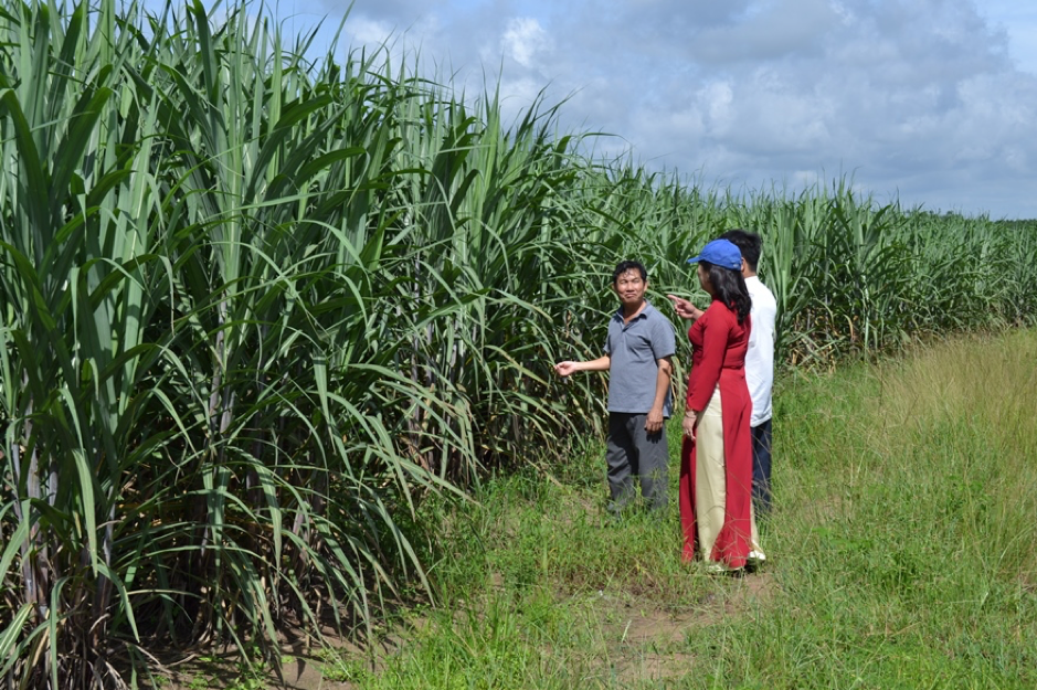 Từ nguồn vốn Agribank, nhiều hộ gia đình đã thoát nghèo thậm chí vươn lên làm giàu.