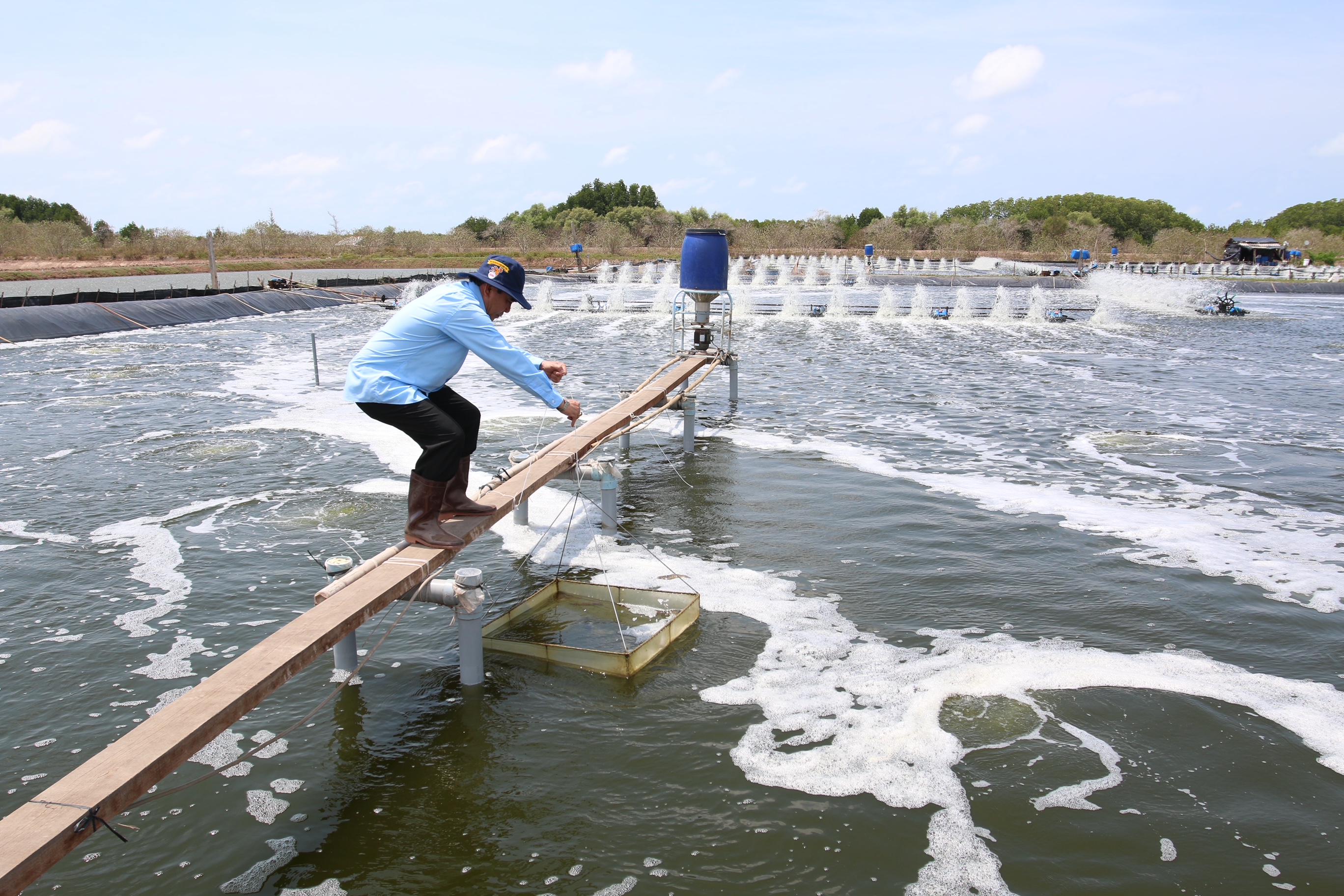 Nguồn vốn Agribank giúp thúc đẩy hoạt động chế biến xuất khẩu thủy sản.