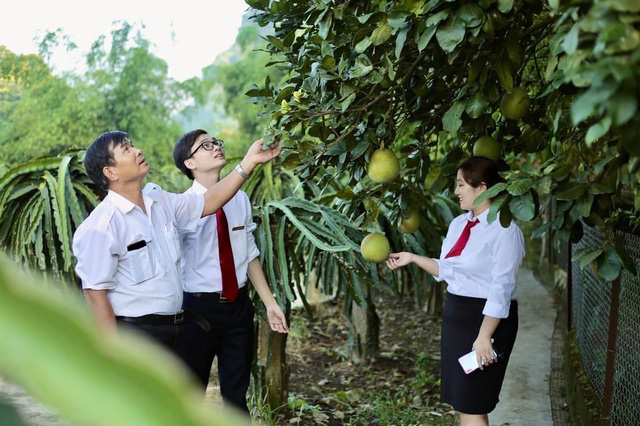 Agribank luôn khẳng định vai trò chủ lực trong đầu tư phát triển 