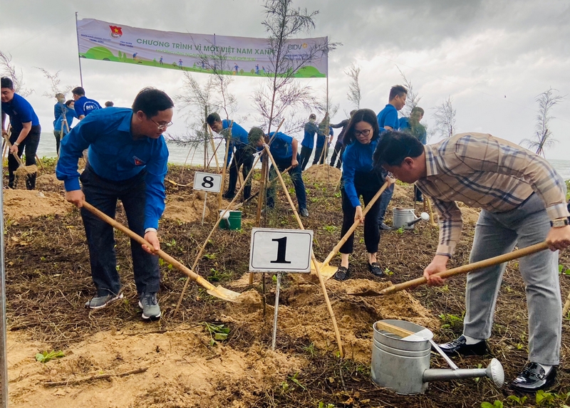 Đại biểu trồng cây phi lao trên bờ biển