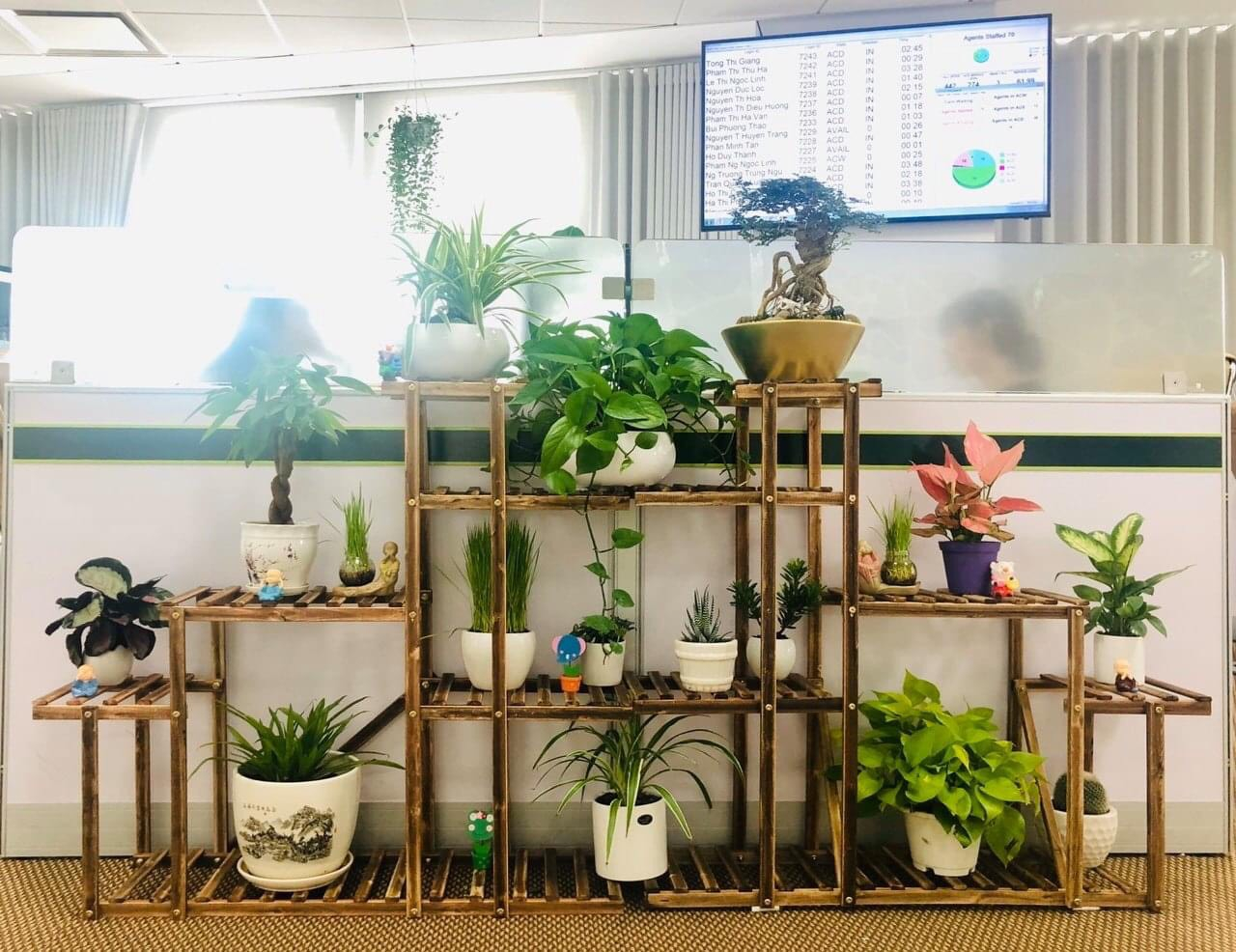 Đoàn Vietcombank triển khai hoạt động 