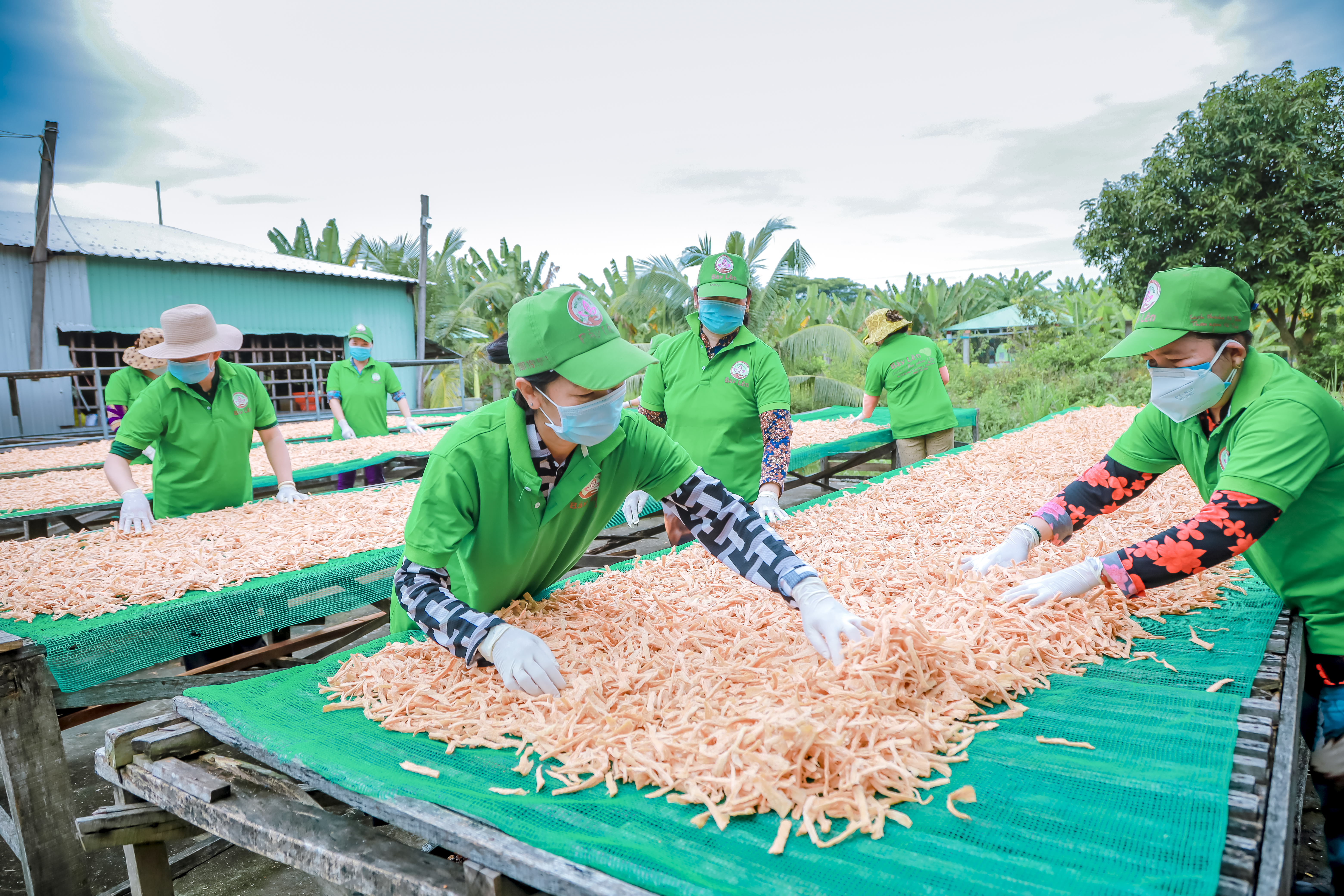 sở sản xuất thực phẩm chay Bảy Lên ở tỉnh Đồng Tháp vay vốn chính sách phát triển SXKD, tạo việc làm ổn định, bền vững cho lao động nữ