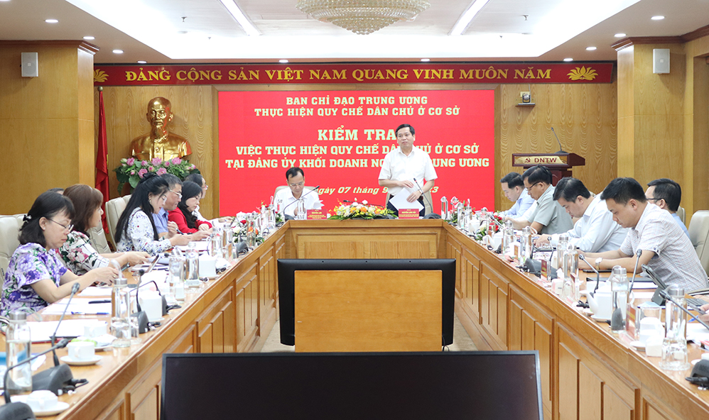 đồng chí Nguyễn Long Hải, Uỷ viên dự khuyết Trung ương Đảng, Bí thư Đảng uỷ Khối Doanh nghiệp Trung ương phát biểu tại buổi làm việc.