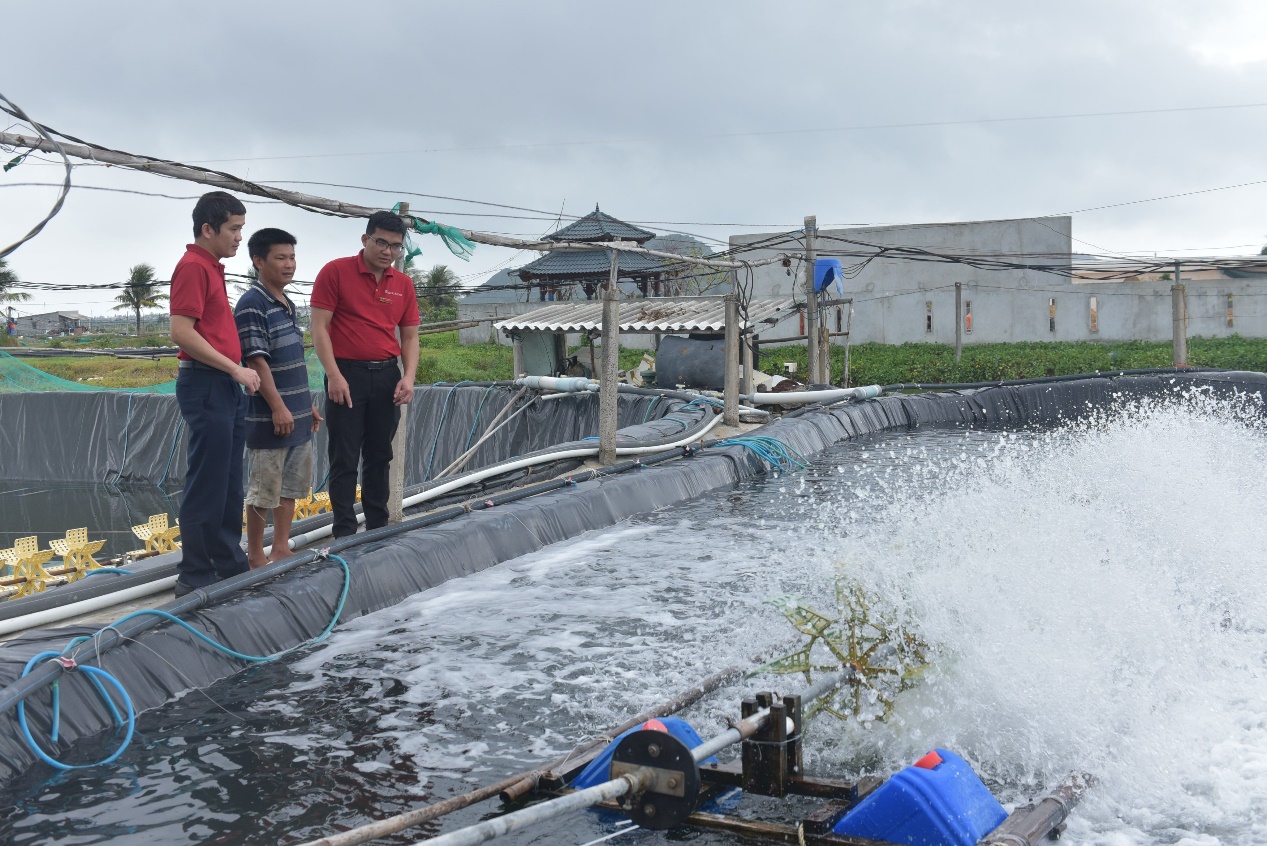 Cán bộ của Agribank đồng hành cùng nông dân trong sản xuất.