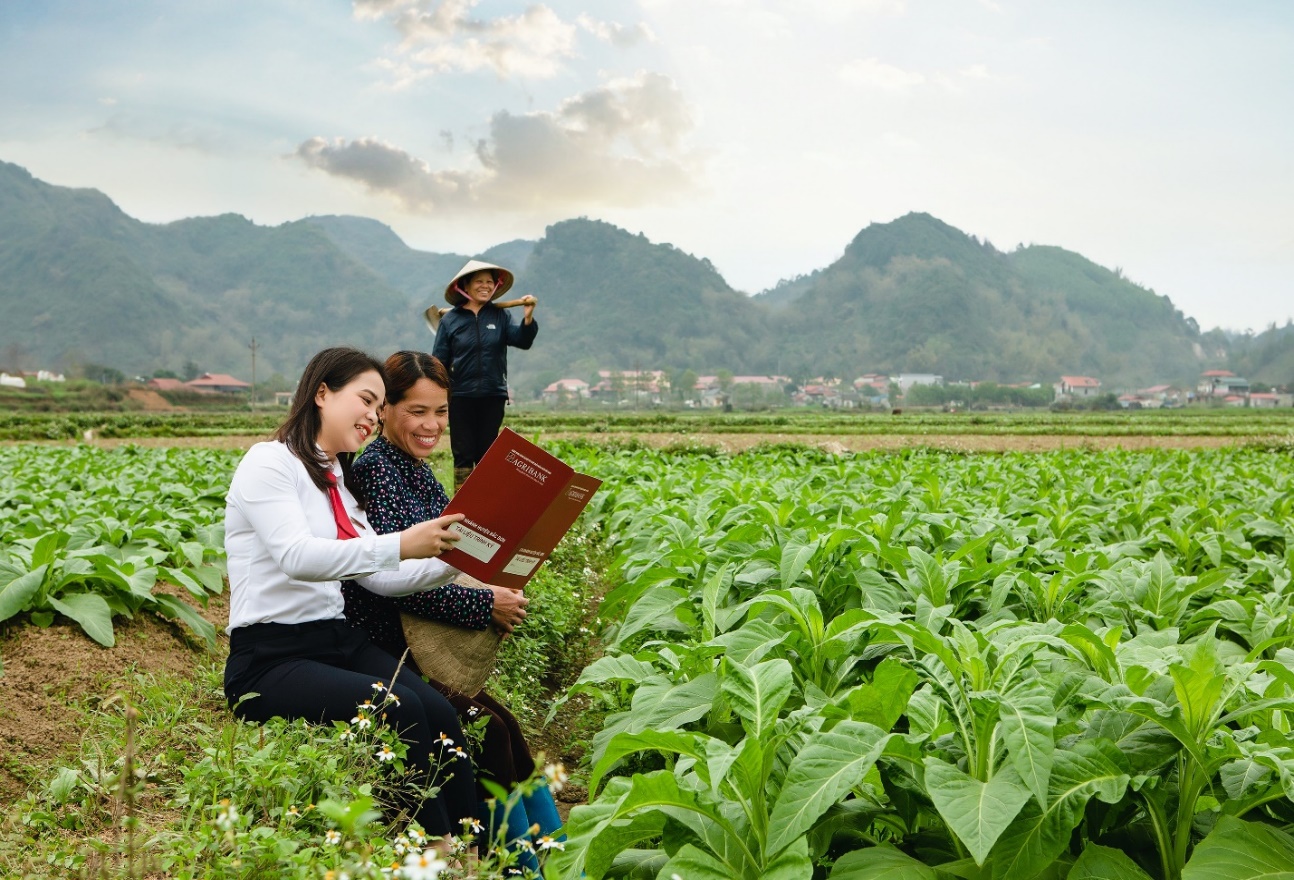 Các chính sách hỗ trợ của Agribank đã góp phần đắc lực vào công cuộc hồi phục và phát triển kinh tế xã hội trong và sau đại dịch